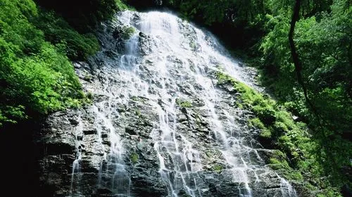 环保先进